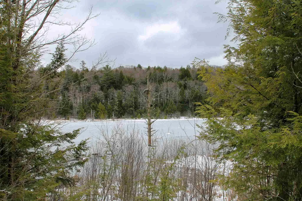 203 Porter Road Plainfield NH 03781