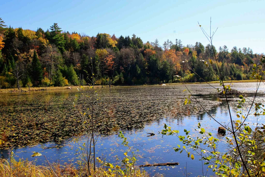 203 Porter Road Plainfield NH 03781