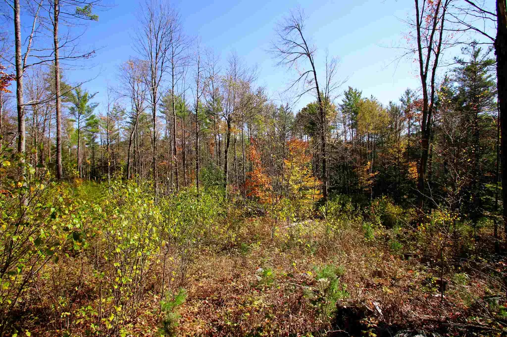 203 Porter Road Plainfield NH 03781