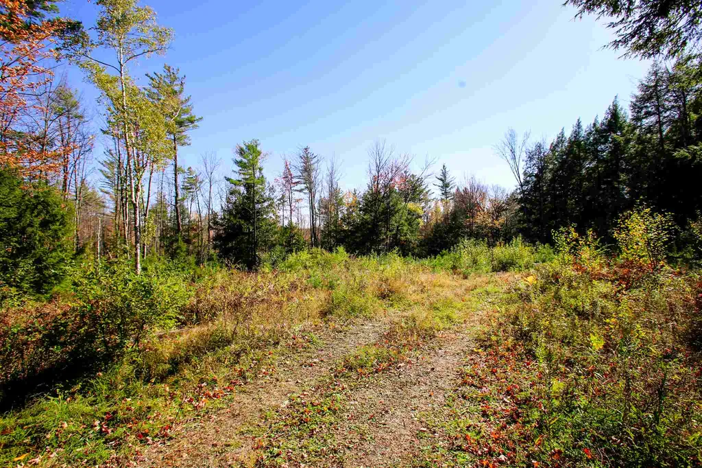 203 Porter Road Plainfield NH 03781