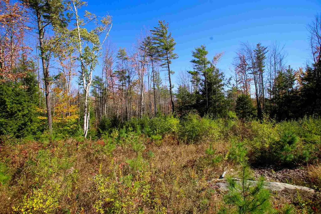 203 Porter Road Plainfield NH 03781