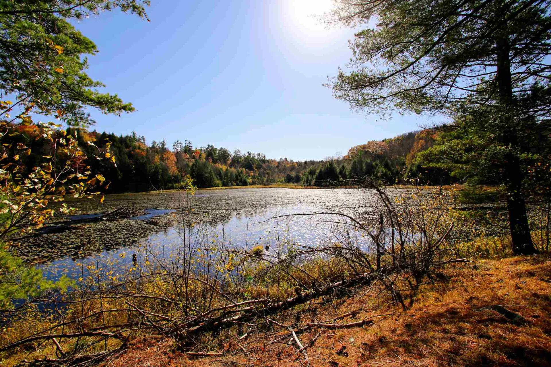 203 Porter Road Plainfield NH 03781