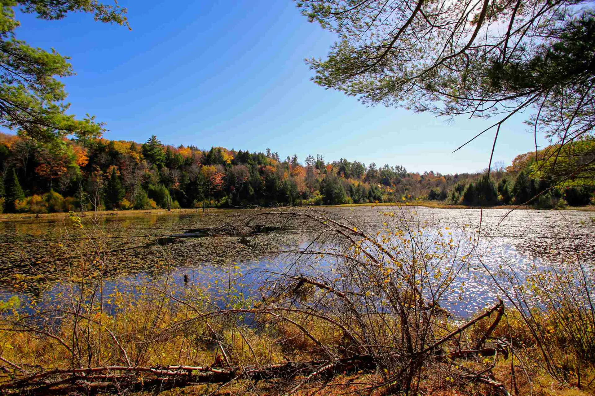 203 Porter Road Plainfield NH 03781