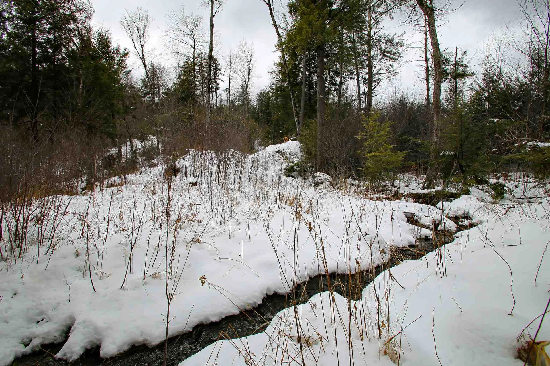 203 Porter Road Plainfield NH 03781