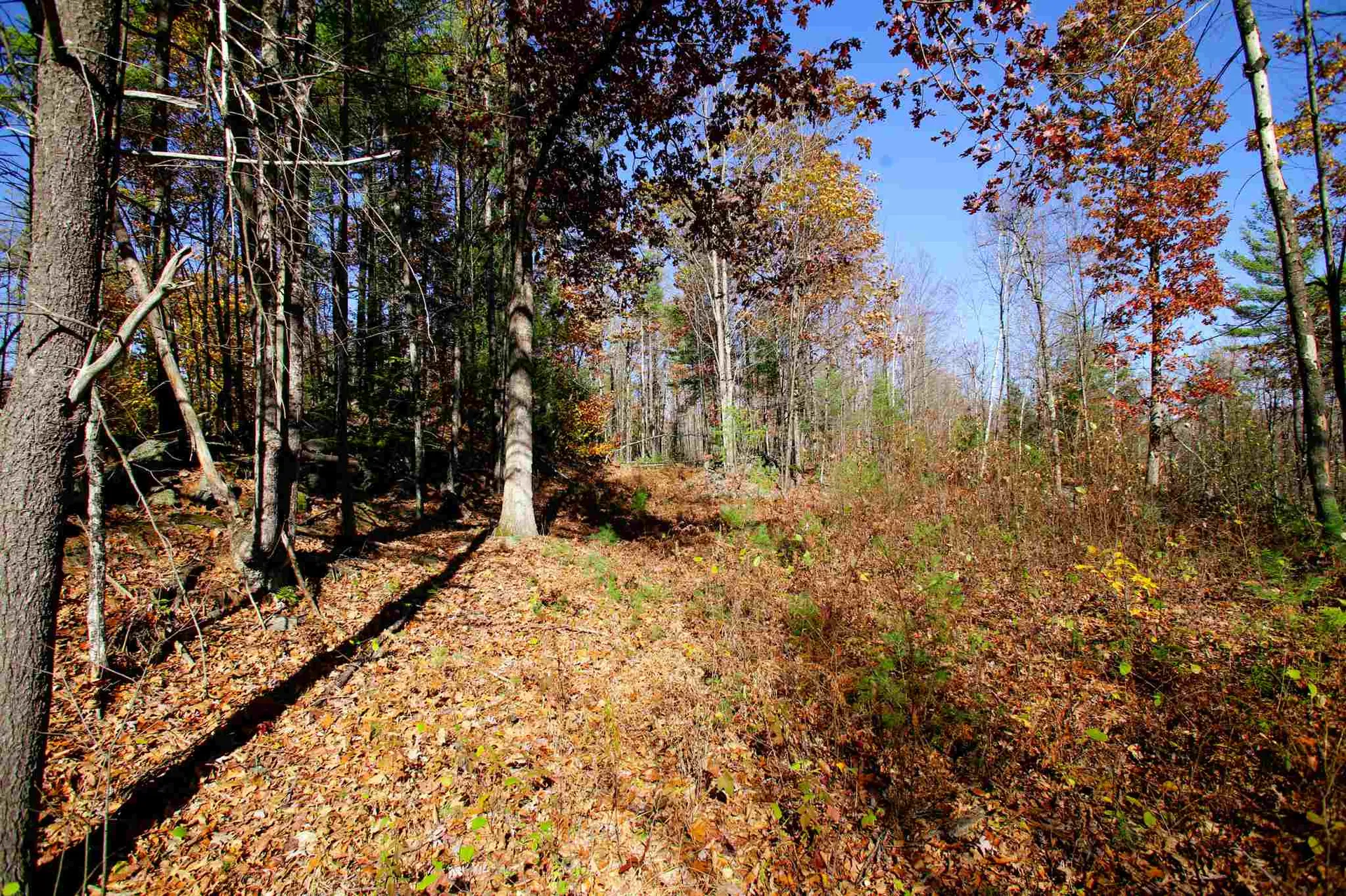 203 Porter Road Plainfield NH 03781