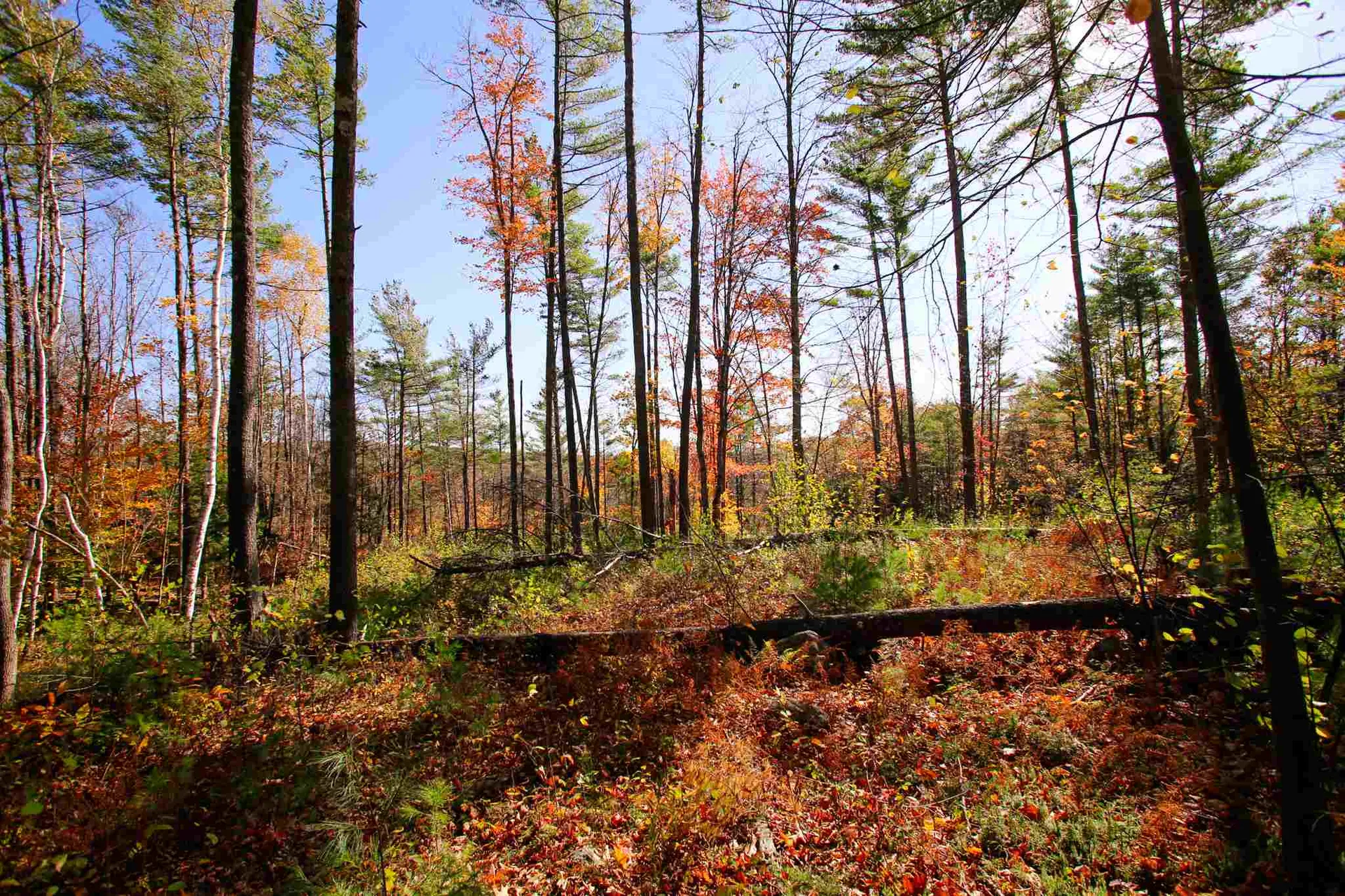 203 Porter Road Plainfield NH 03781