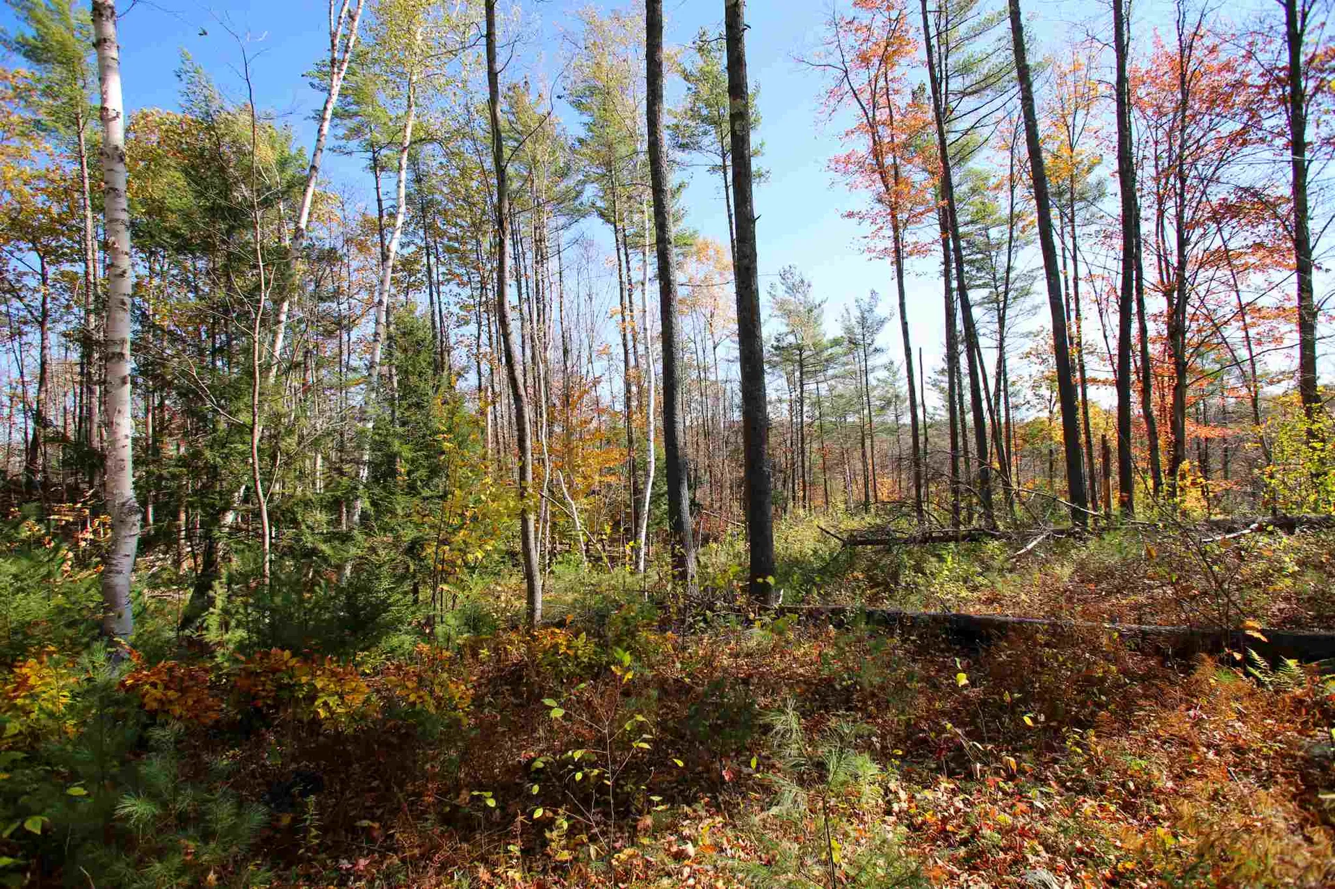 203 Porter Road Plainfield NH 03781