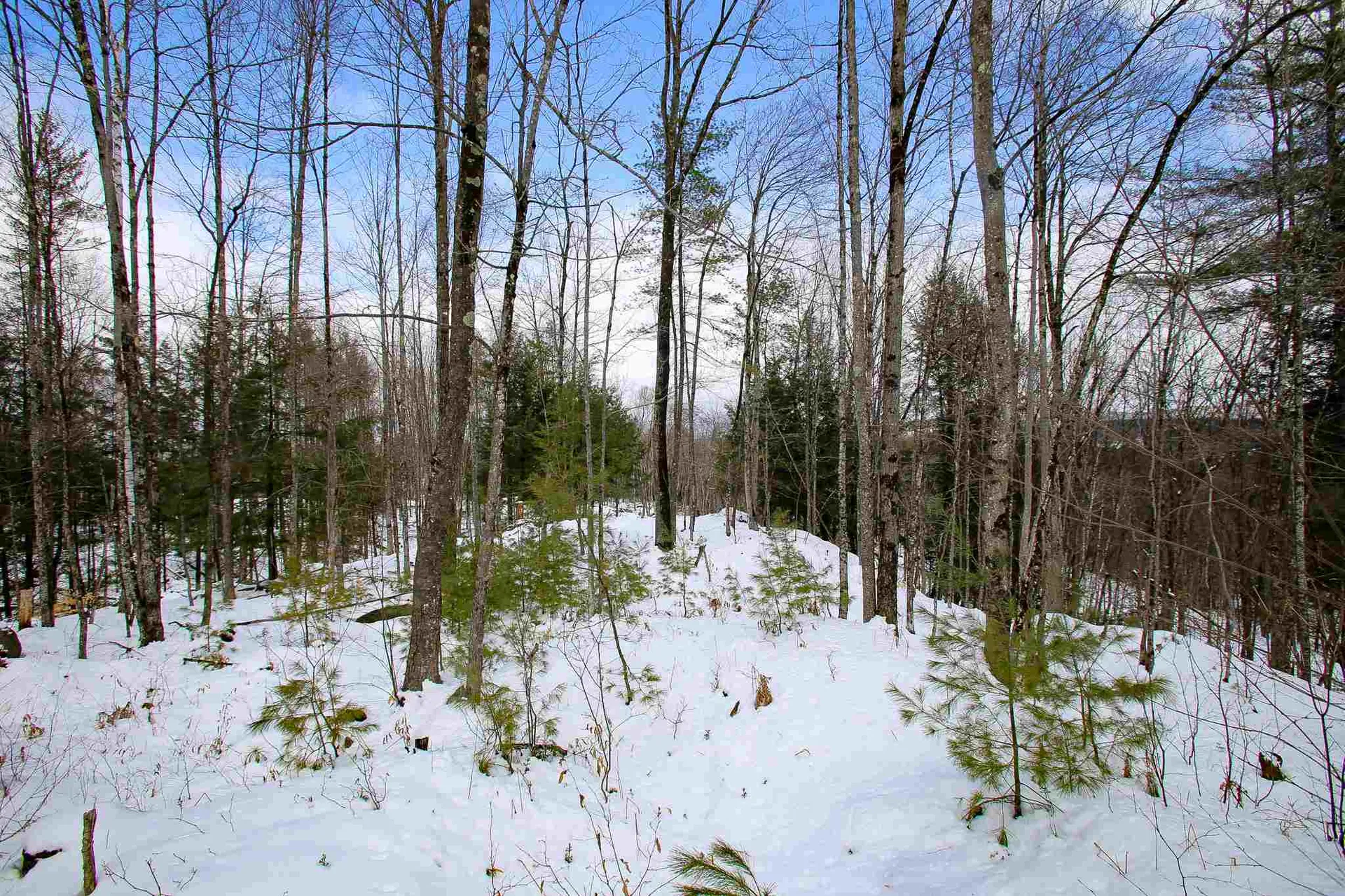 203 Porter Road Plainfield NH 03781
