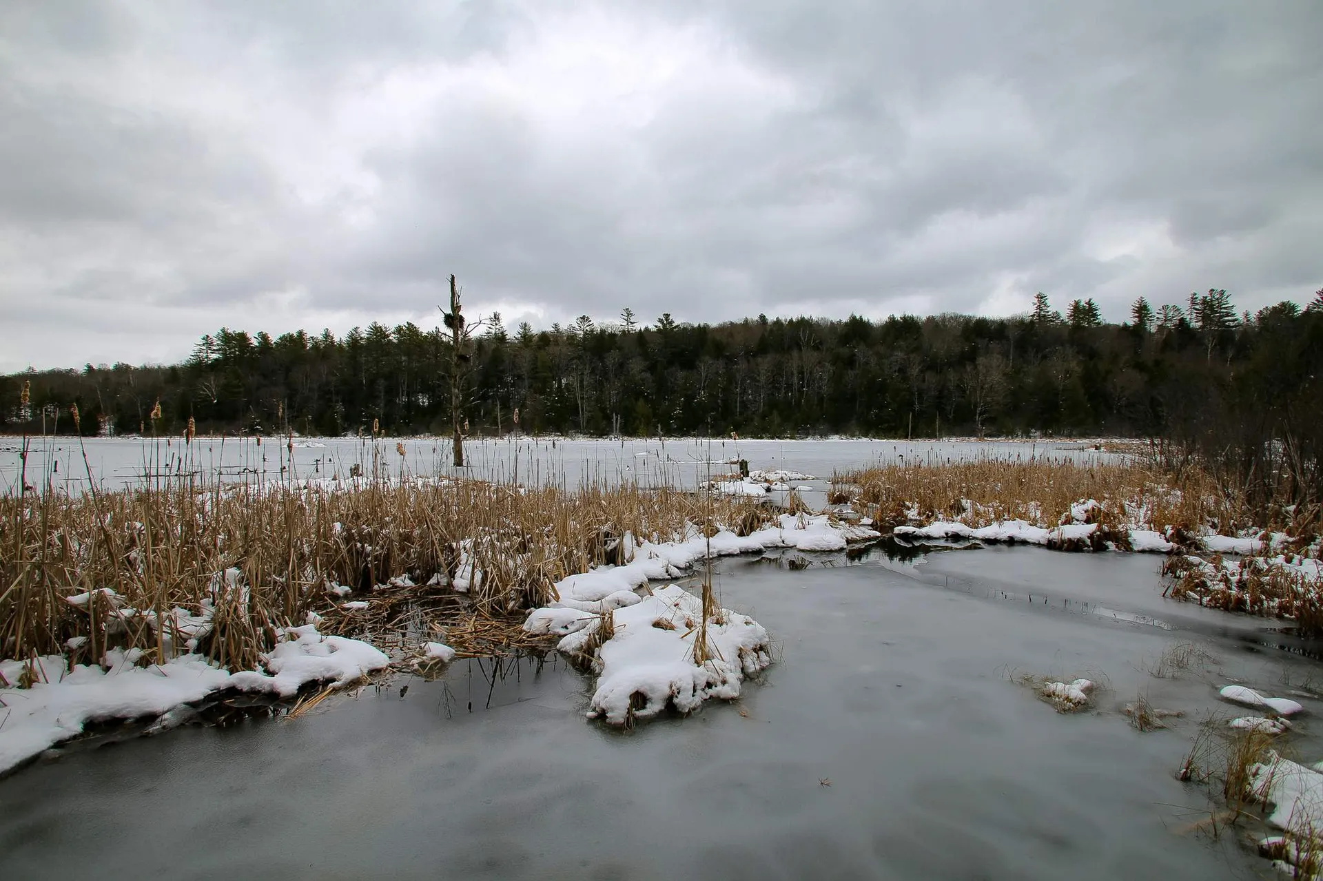 203 Porter Road Plainfield NH 03781