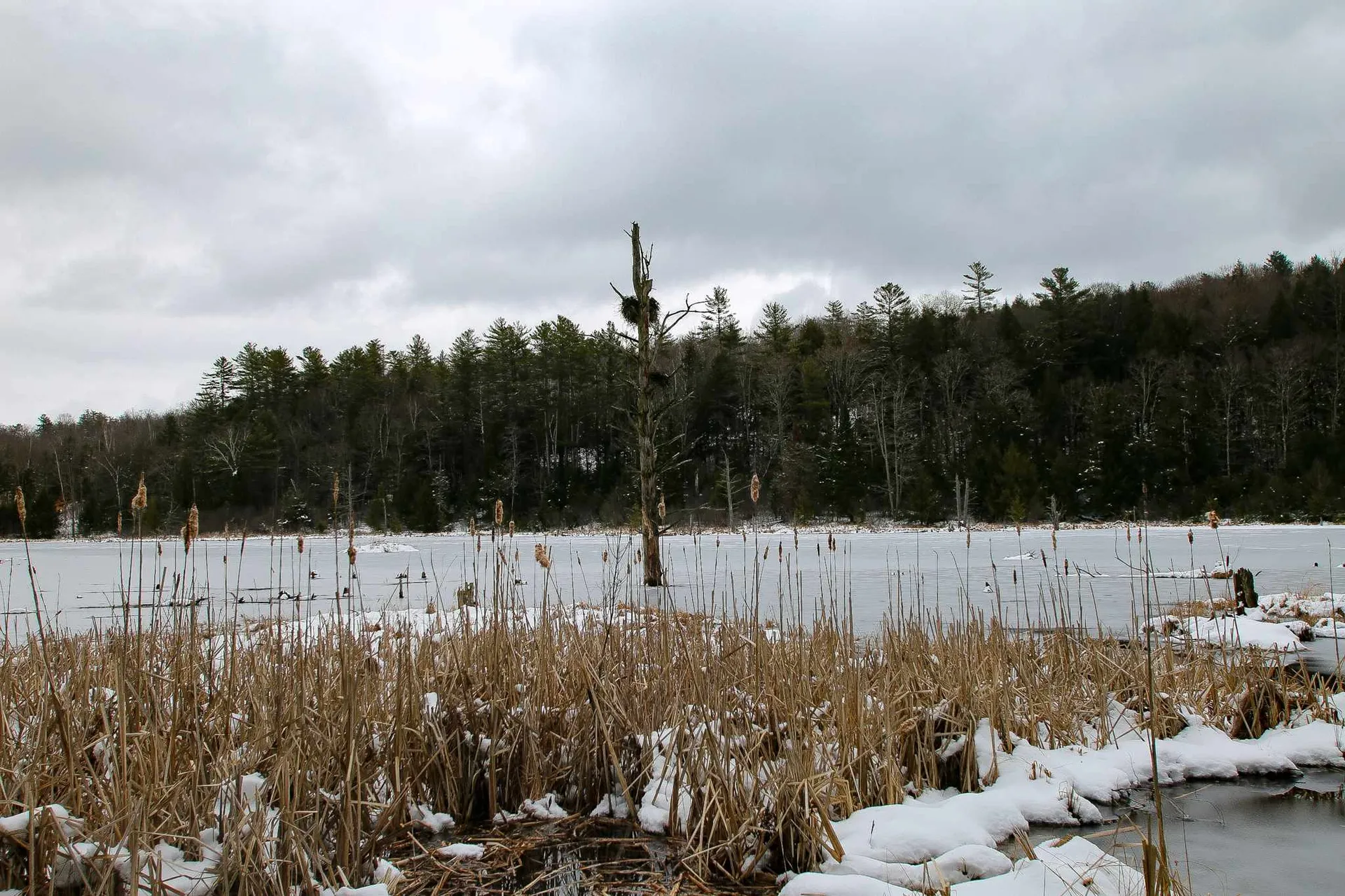 203 Porter Road Plainfield NH 03781