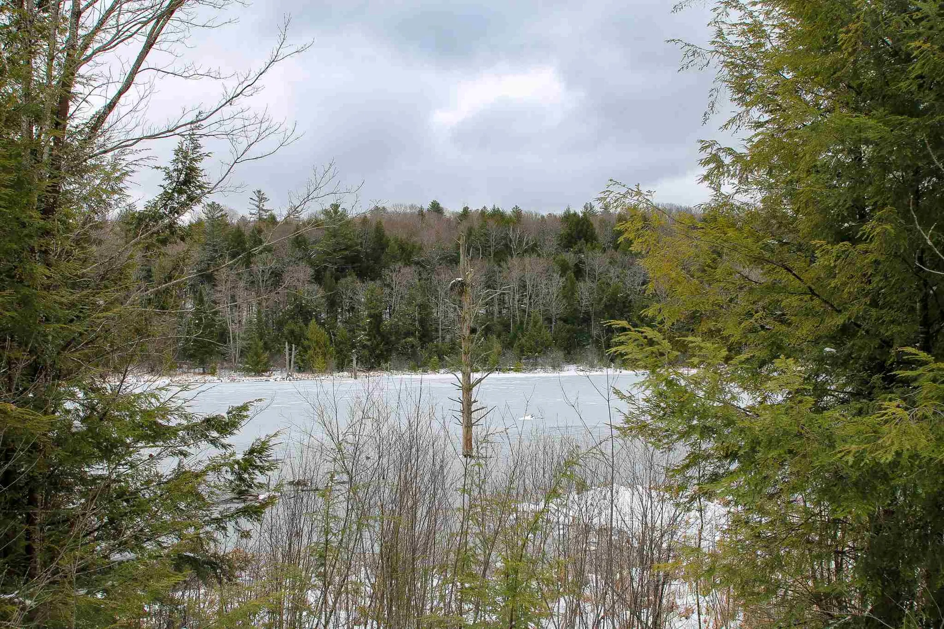 203 Porter Road Plainfield NH 03781