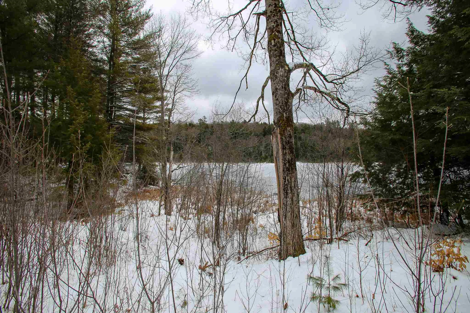 203 Porter Road Plainfield NH 03781