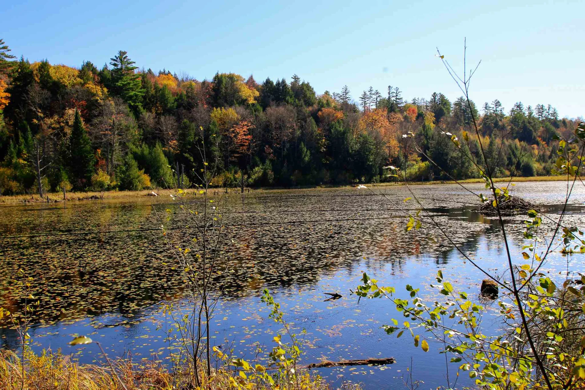 203 Porter Road Plainfield NH 03781