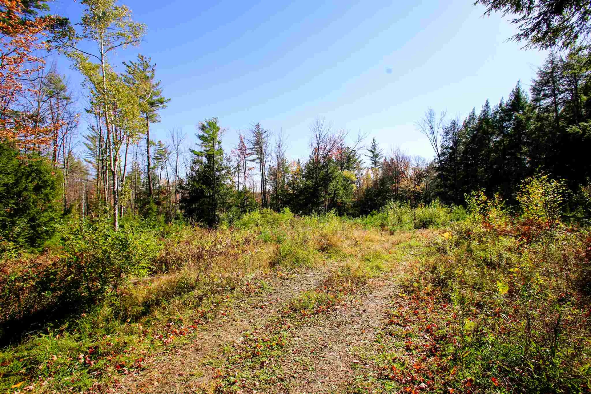 203 Porter Road Plainfield NH 03781