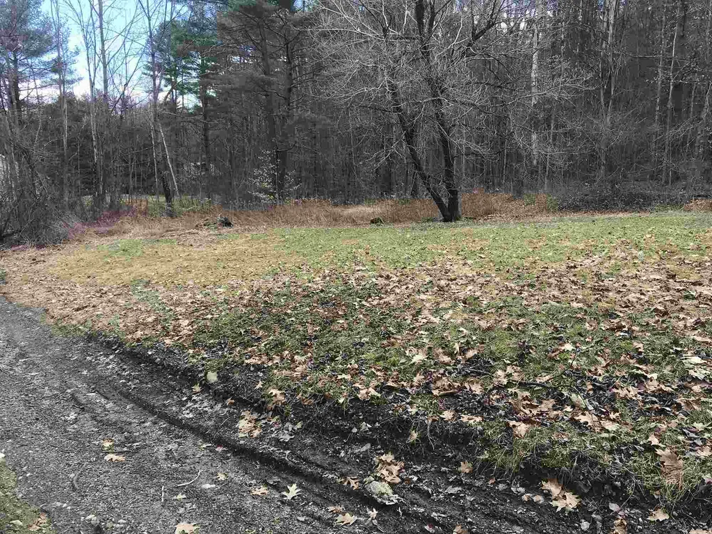 110 Rockingham Hill Road Rockingham VT 05101