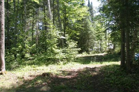 144 Barefoot Road Concord VT 05824