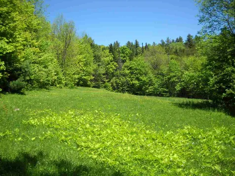 55 Emerson Road Topsham VT 05076