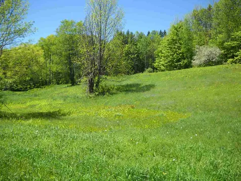 55 Emerson Road Topsham VT 05076
