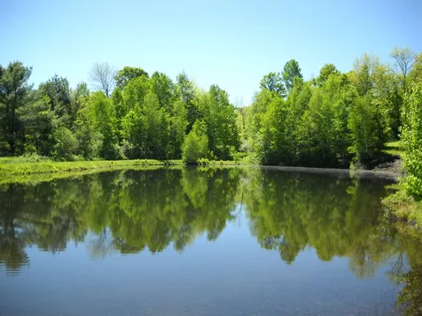 55 Emerson Road Topsham VT 05076