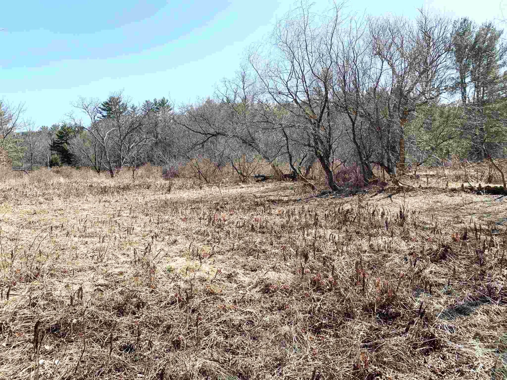 153 Greensboro Road Hanover NH 03755