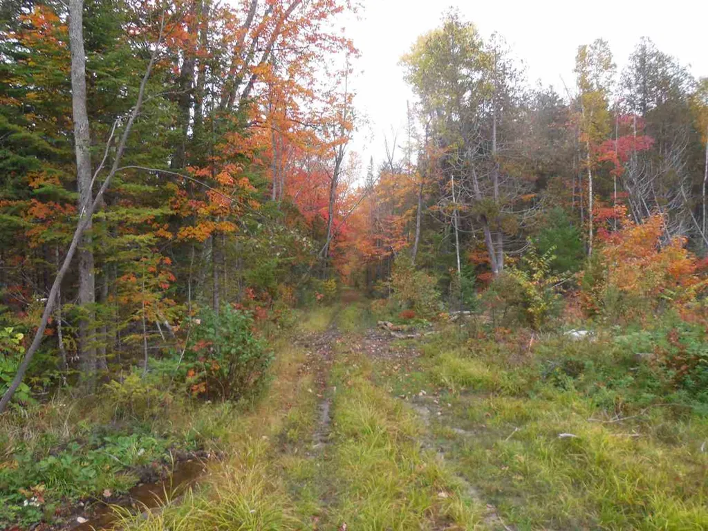 1880 Underpass Road Sutton VT 05867