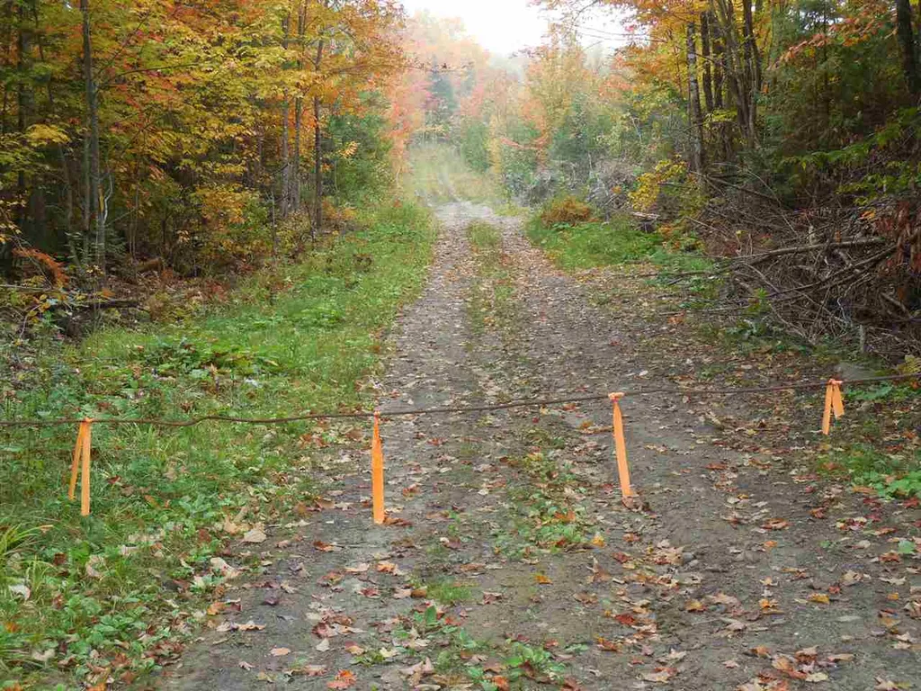 1880 Underpass Road Sutton VT 05867