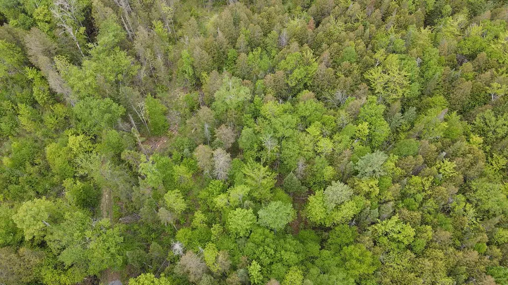1880 Underpass Road Sutton VT 05867