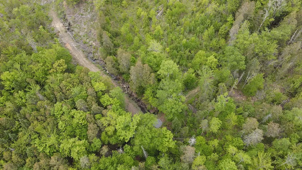 1880 Underpass Road Sutton VT 05867