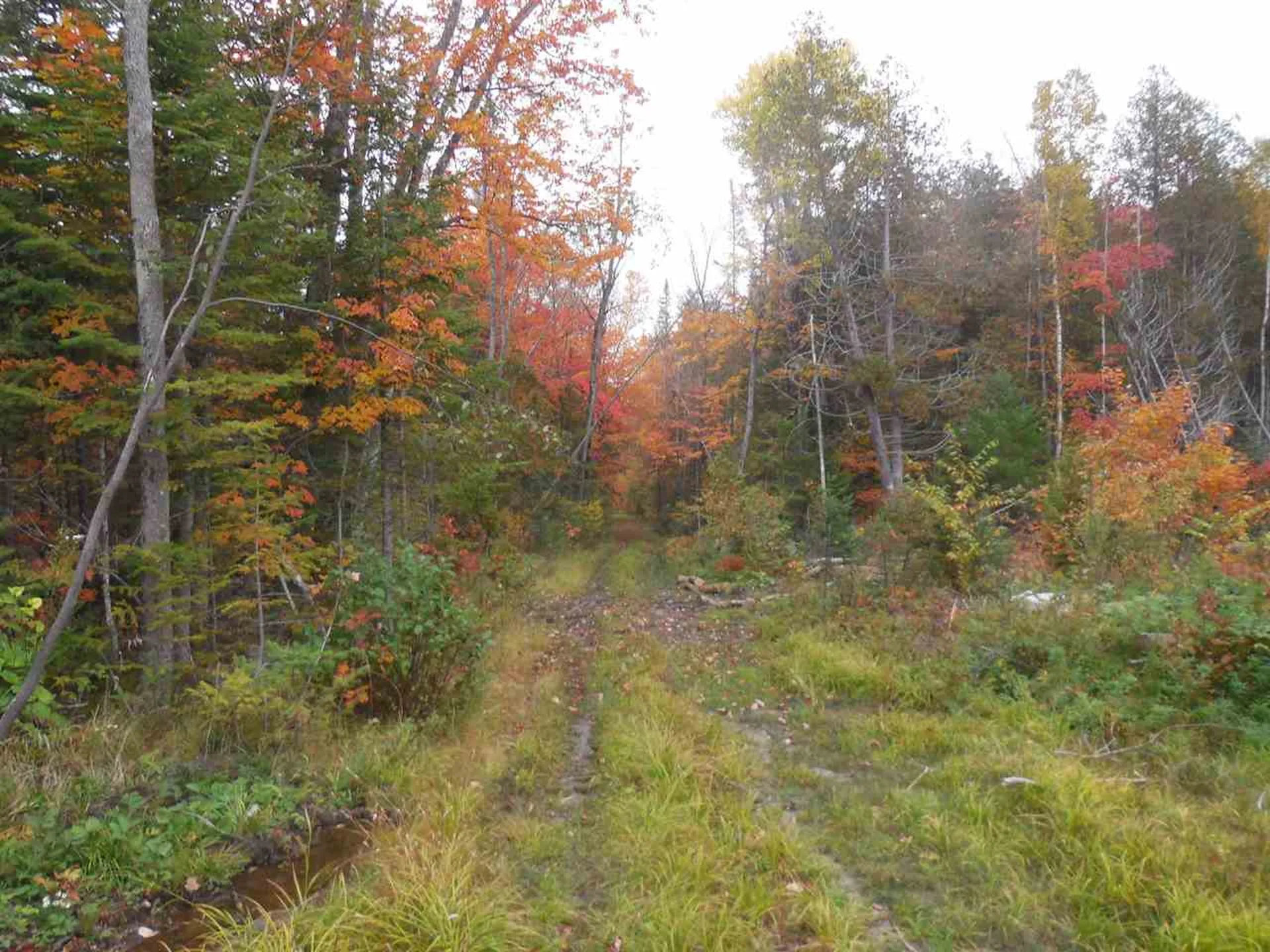 1880 Underpass Road Sutton VT 05867