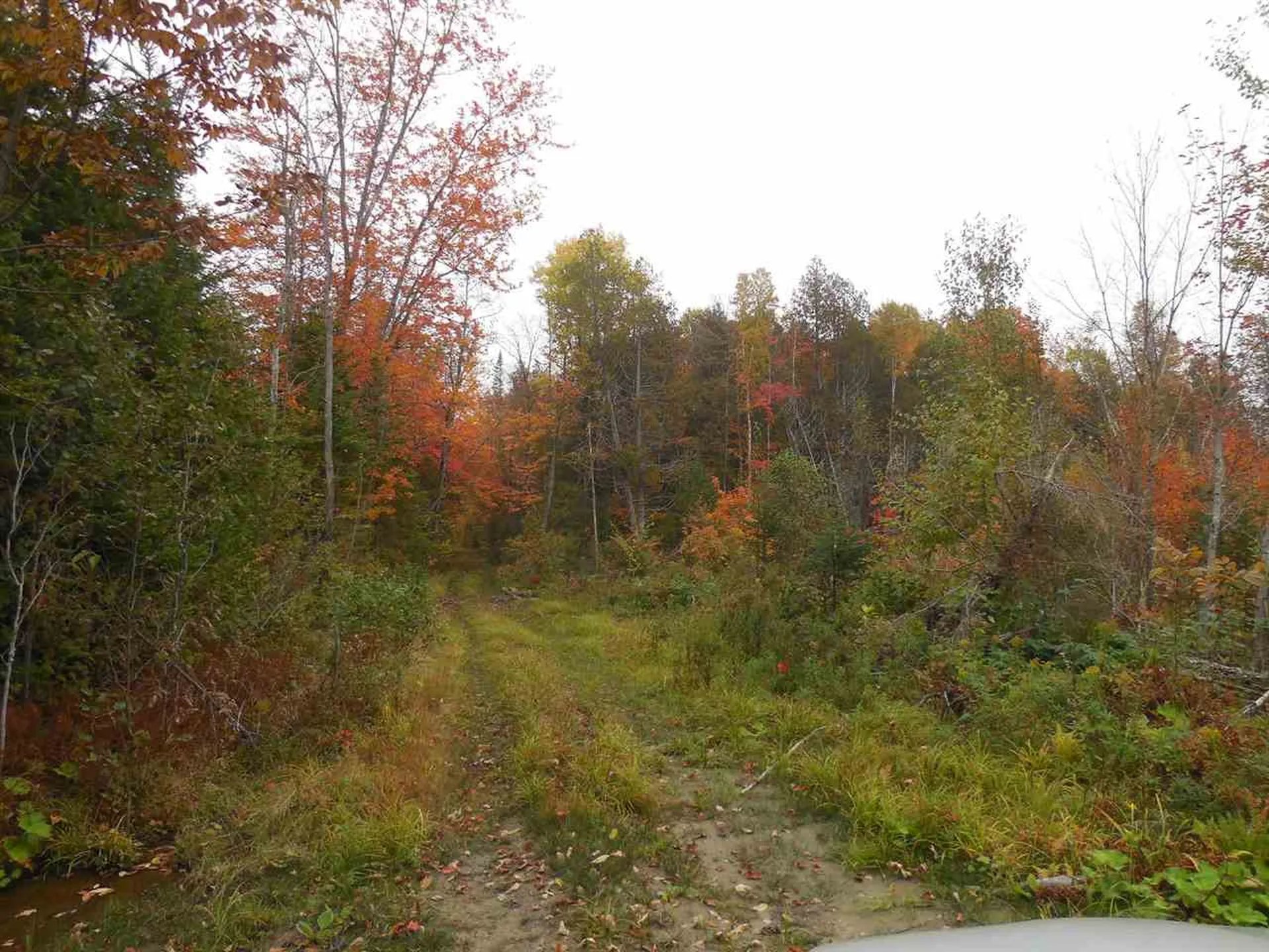 1880 Underpass Road Sutton VT 05867