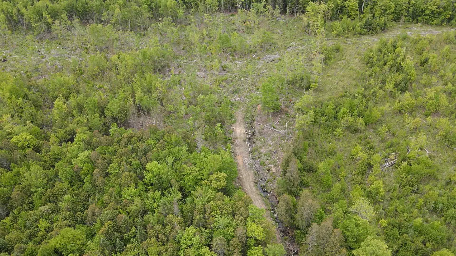 1880 Underpass Road Sutton VT 05867