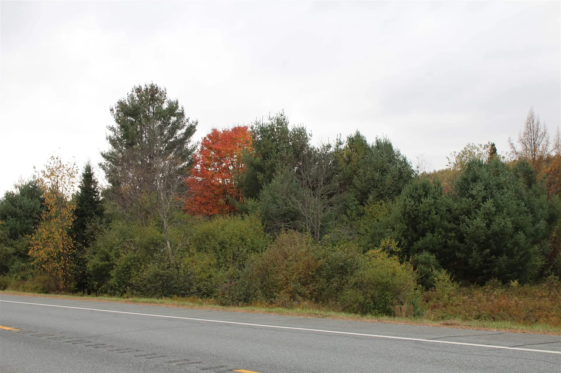 00 Us Route 2 Concord VT 05824