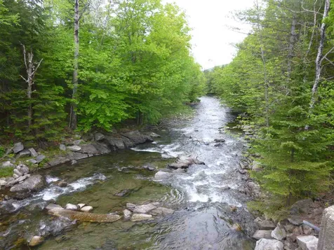 1431 Chelsea Road Bradford VT 05033