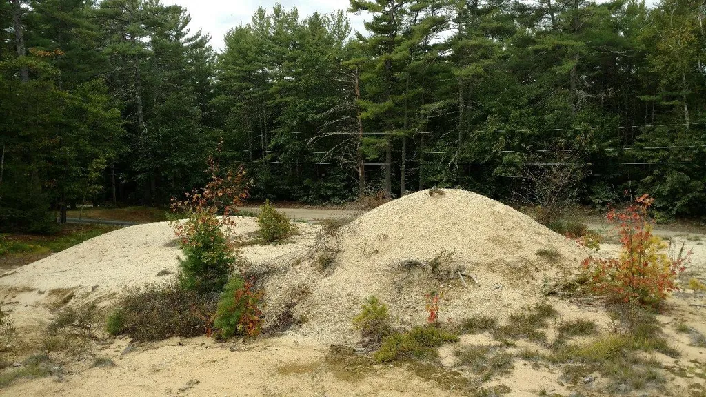 448 Old Bennington Road Greenfield NH 03047