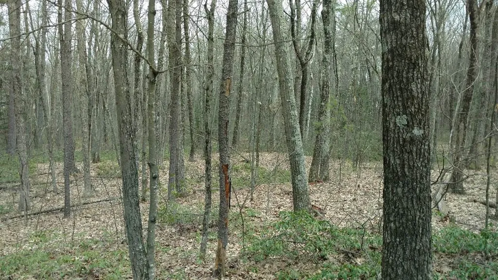 49-2 Crestwood Lane Milford NH 03055