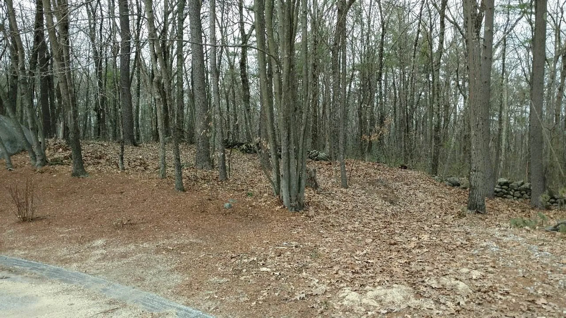 49-2 Crestwood Lane Milford NH 03055