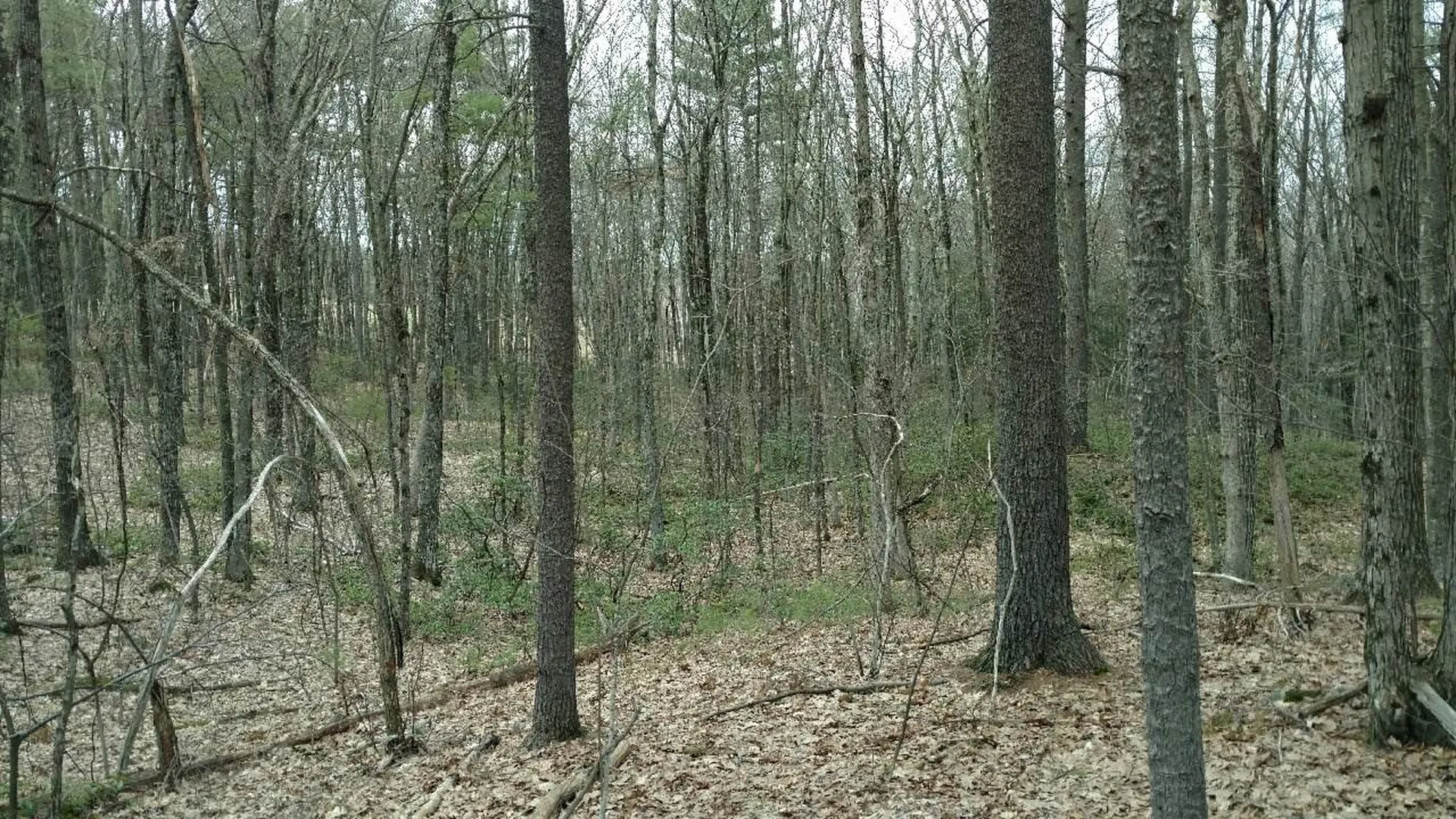49-2 Crestwood Lane Milford NH 03055