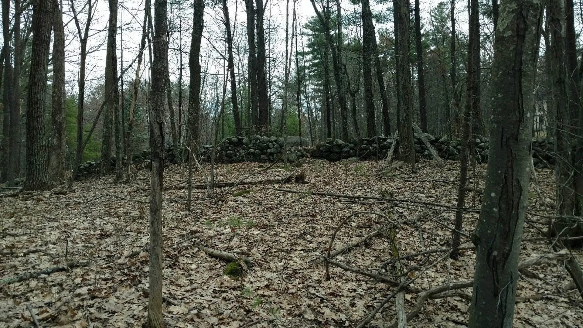 49-2 Crestwood Lane Milford NH 03055