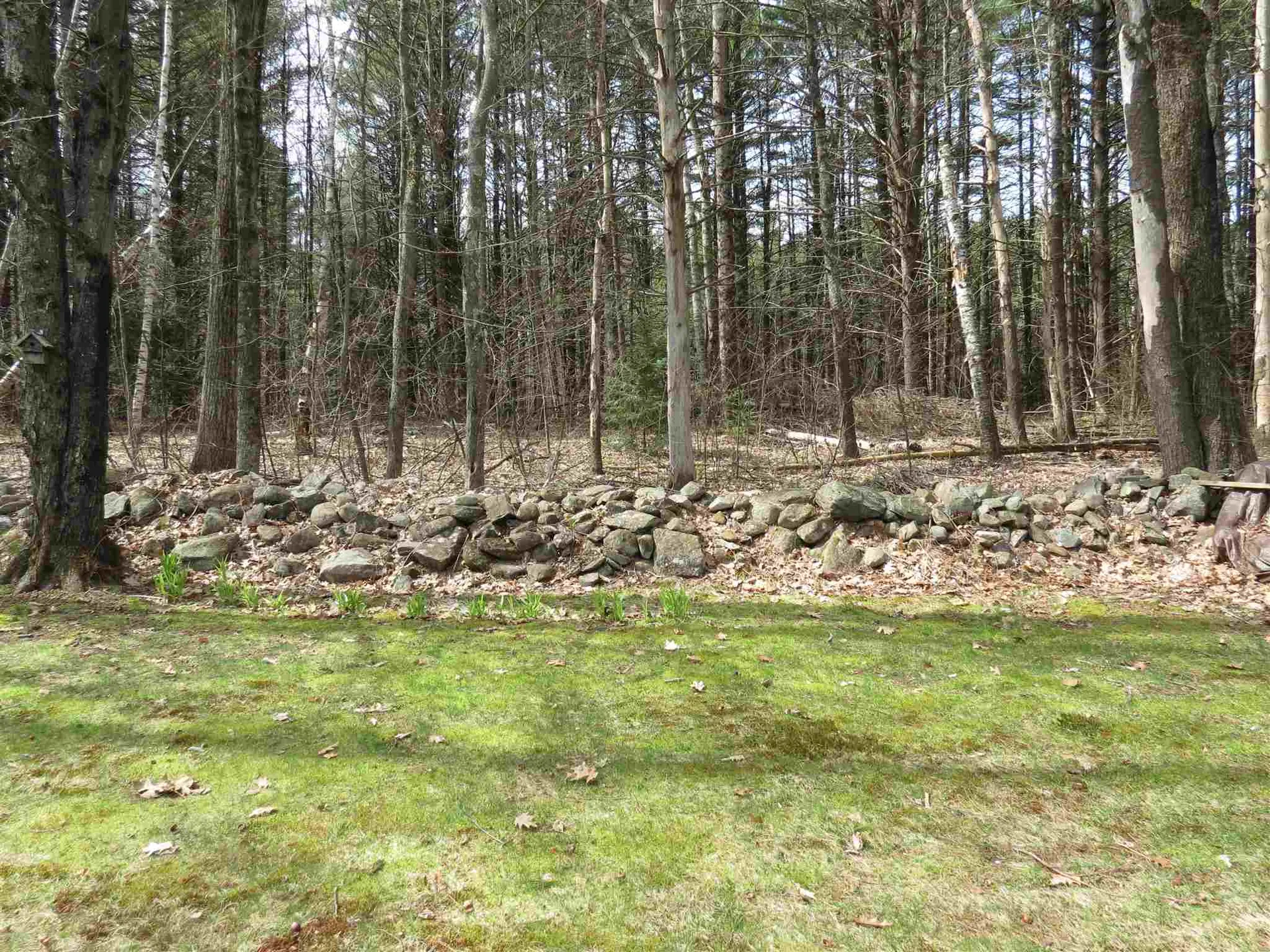 22 Birchwood Avenue Rochester NH 03867