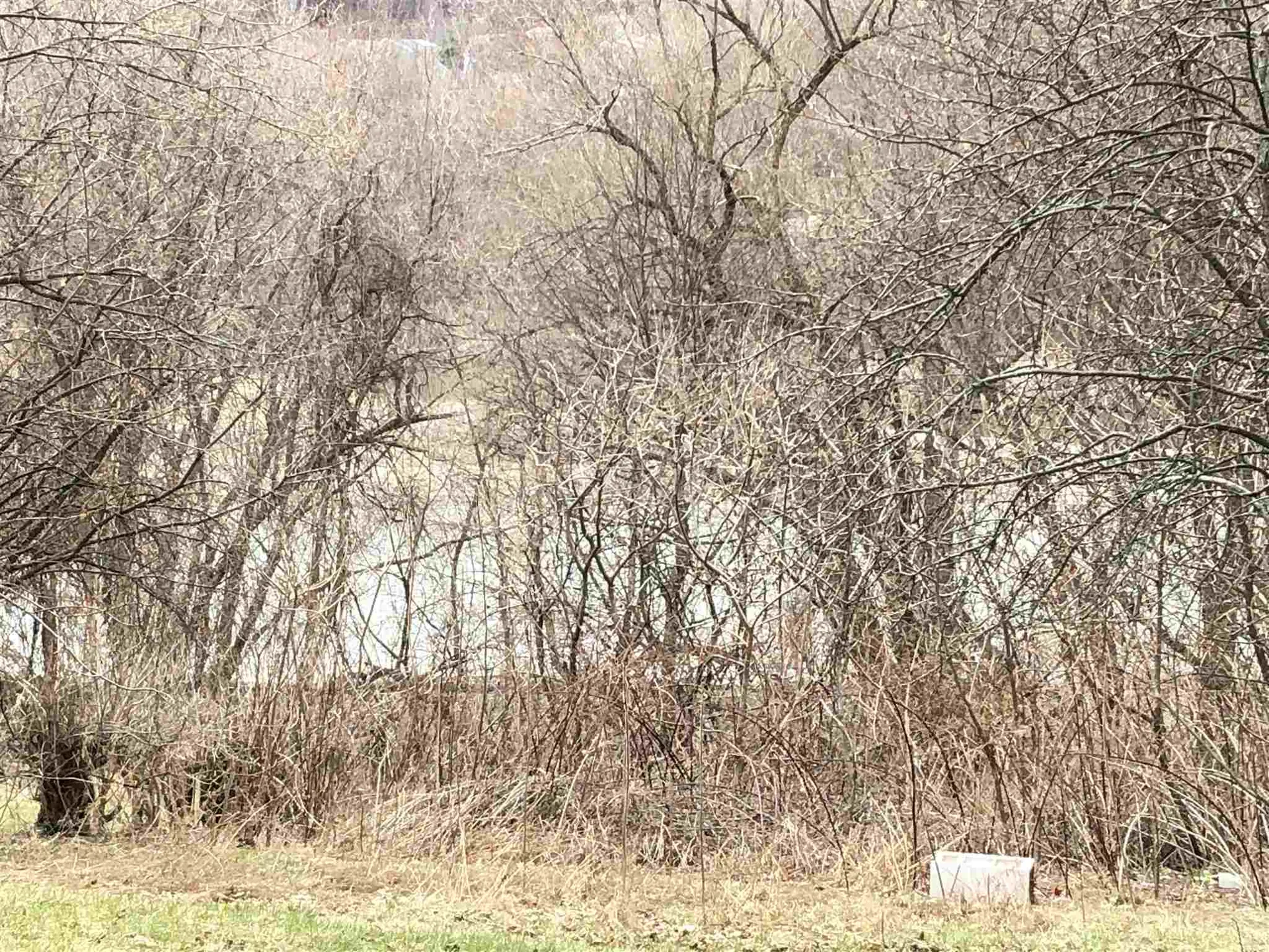 206 West Canal Street Winooski VT 05404