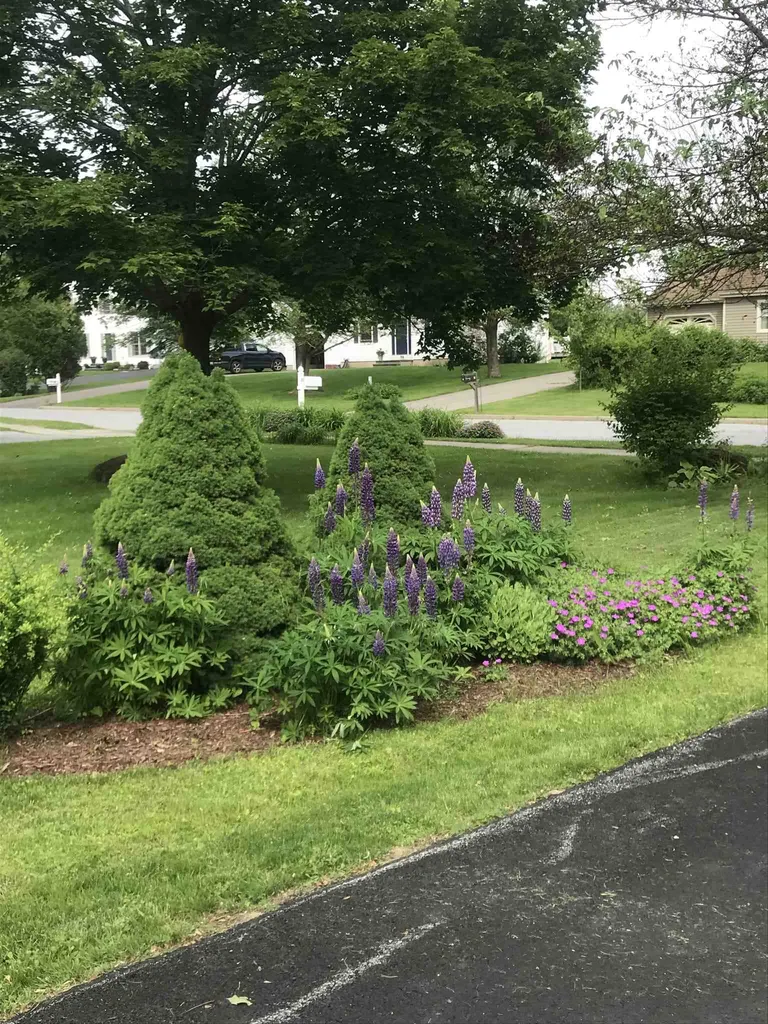 65 Chamberlin Lane Williston VT 05495