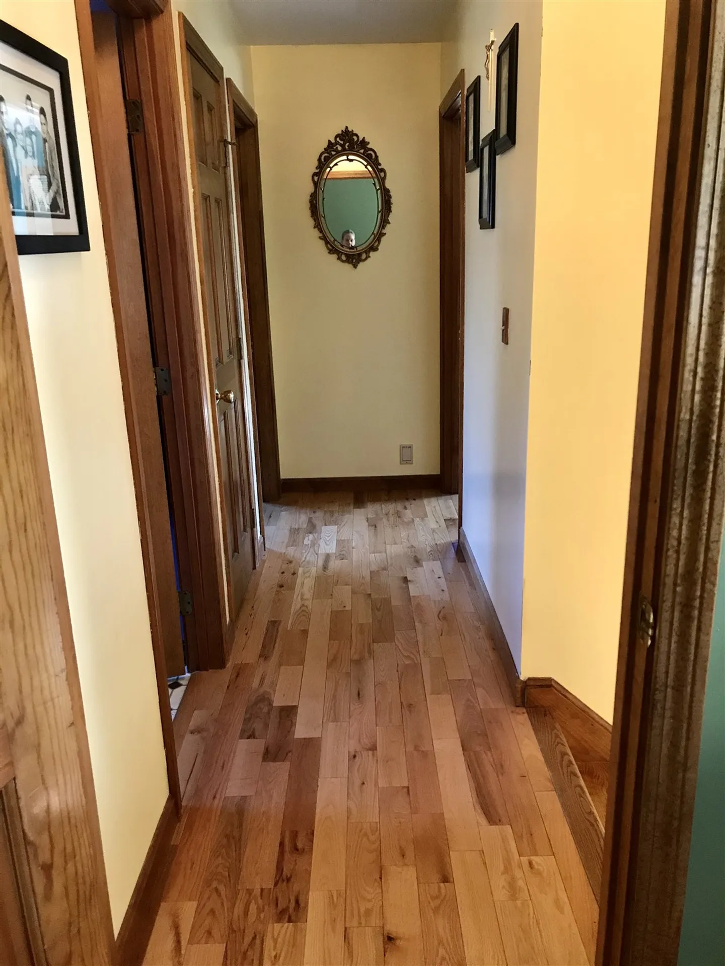 65 Chamberlin Lane Williston VT 05495