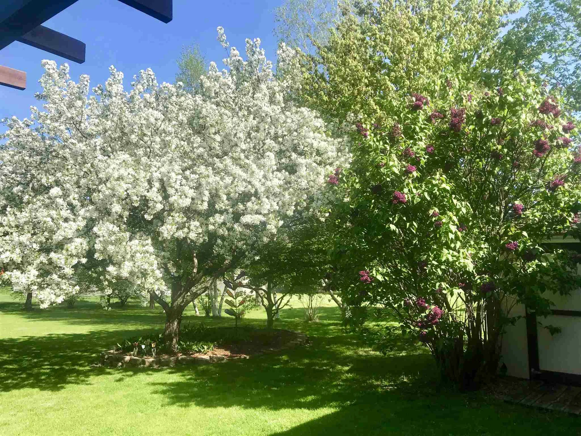 65 Chamberlin Lane Williston VT 05495