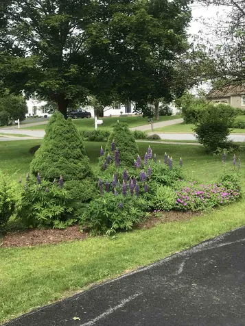65 Chamberlin Lane Williston VT 05495