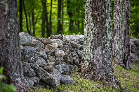 231 Christmas Tree Farm Road Chester VT 05143