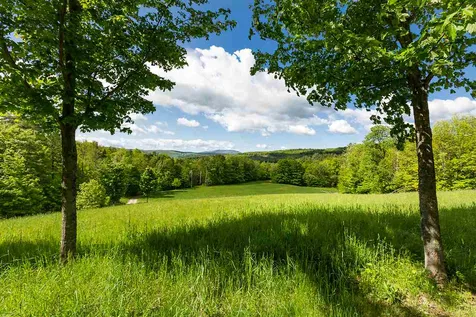 231 Christmas Tree Farm Road Chester VT 05143