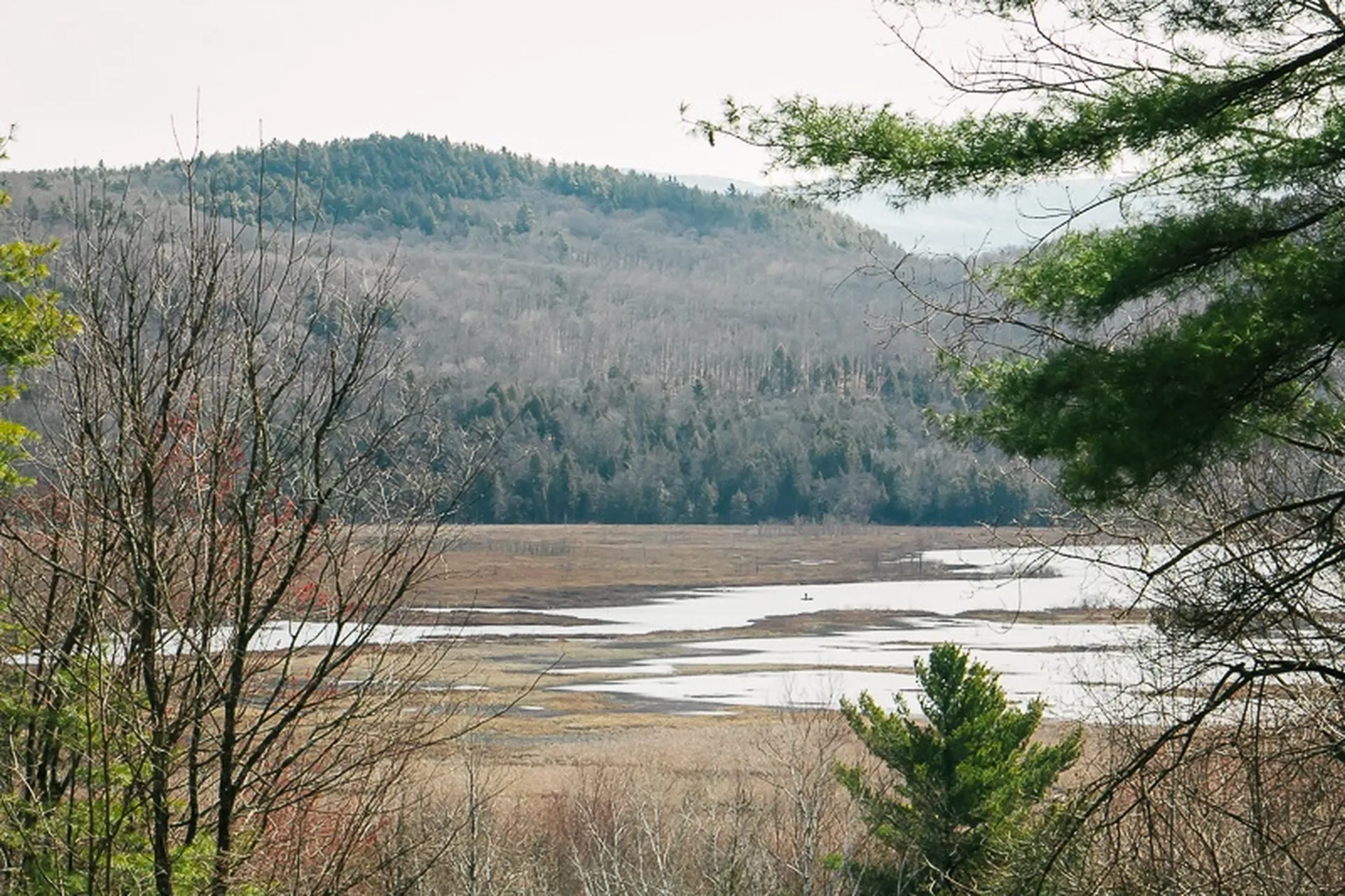 120 Pondview Drive Bristol VT 05443