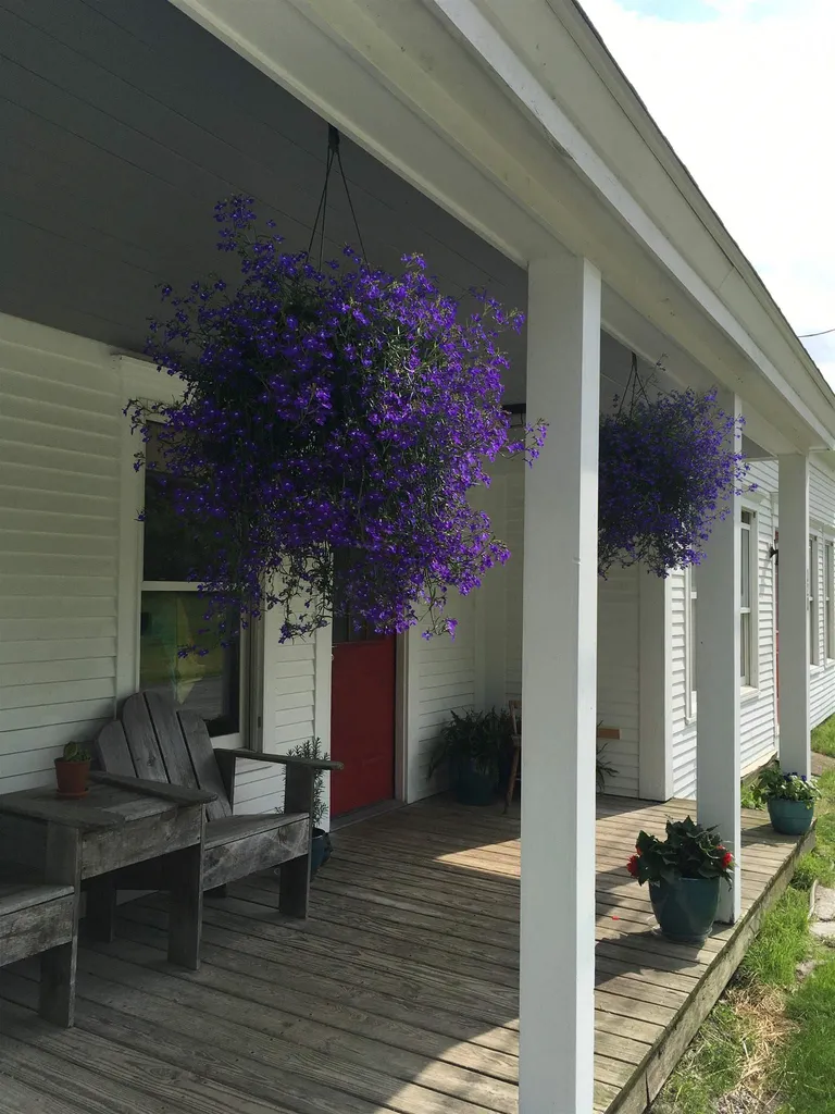 320 Carter Street Barnet VT 05821