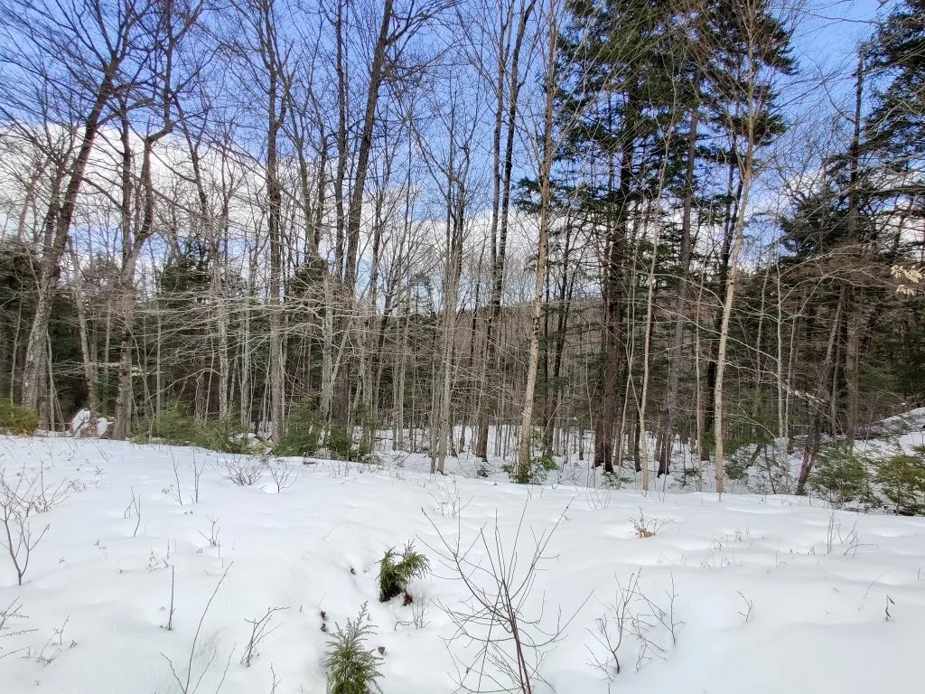 0 Lakeview Heights Alexandria NH 03222