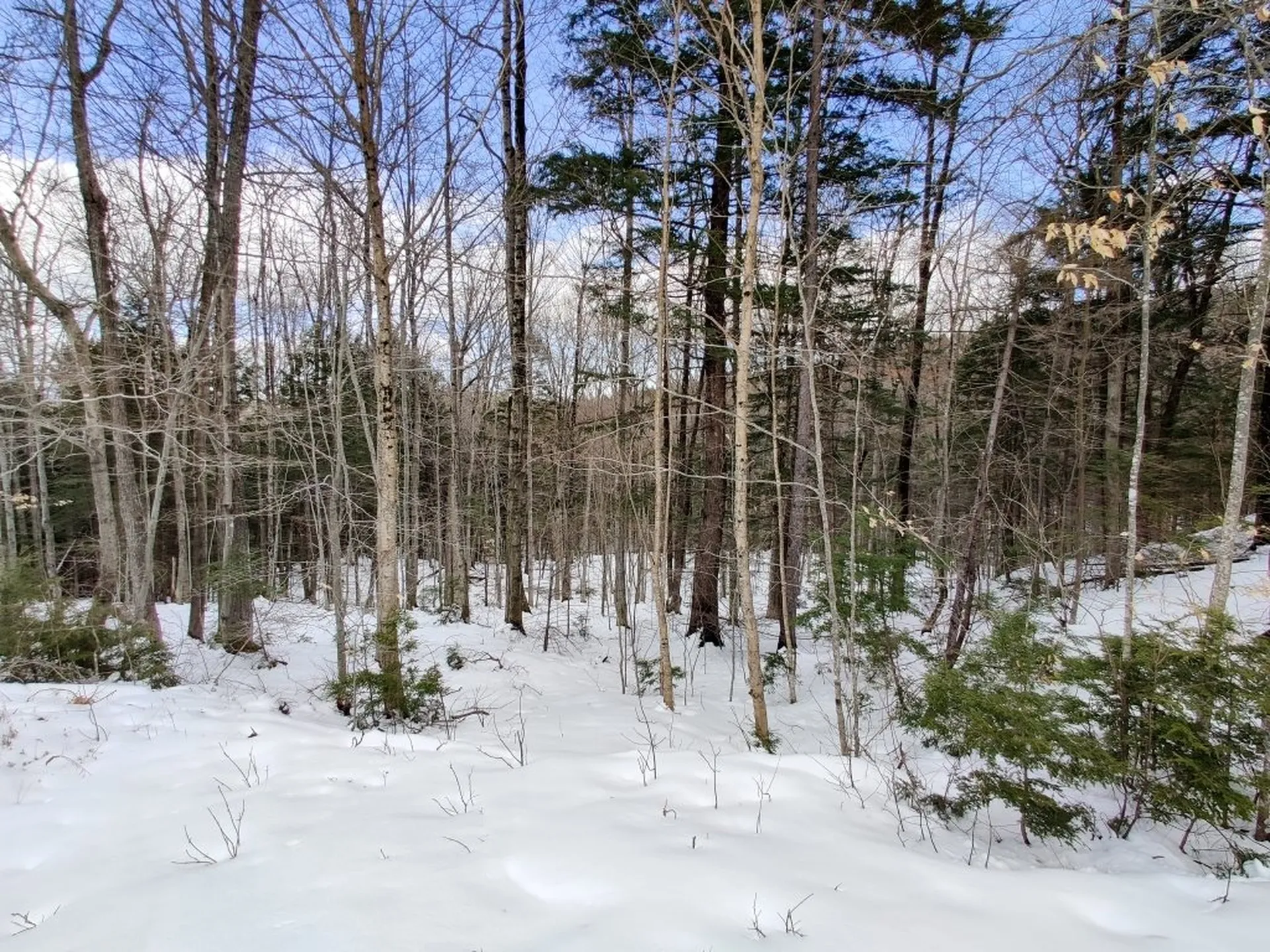 0 Lakeview Heights Alexandria NH 03222